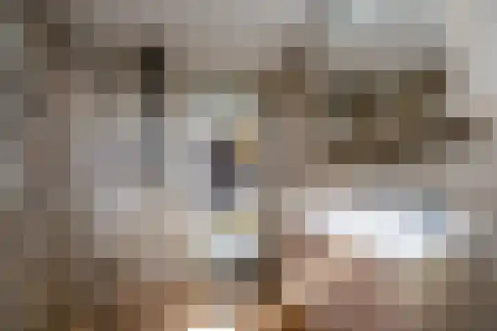 Koers 2 Huizen thumbnail 23