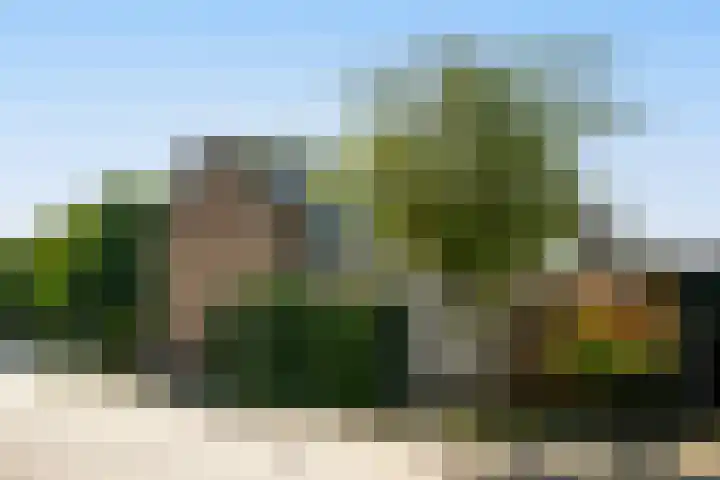 Koers 2 Huizen thumbnail 29