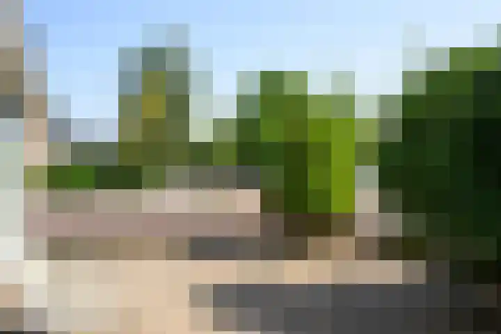 Koers 2 Huizen thumbnail 30
