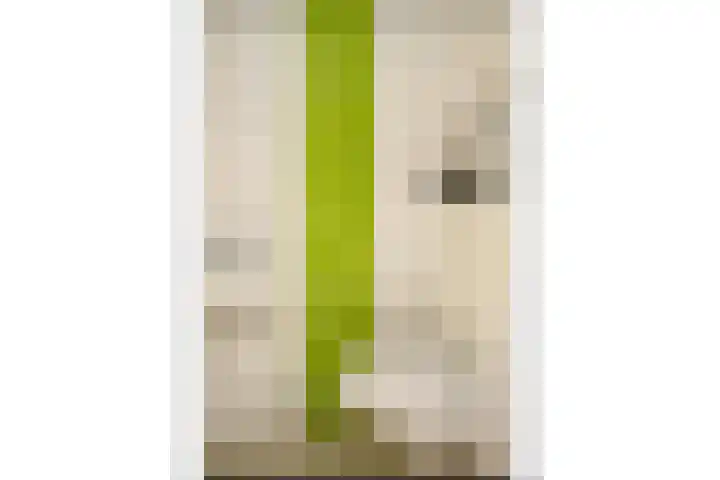 Koers 2 Huizen thumbnail 5