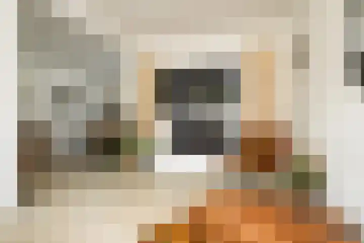 Koers 2 Huizen thumbnail 8