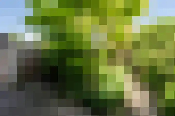 Koers 4 Nootdorp thumbnail 18