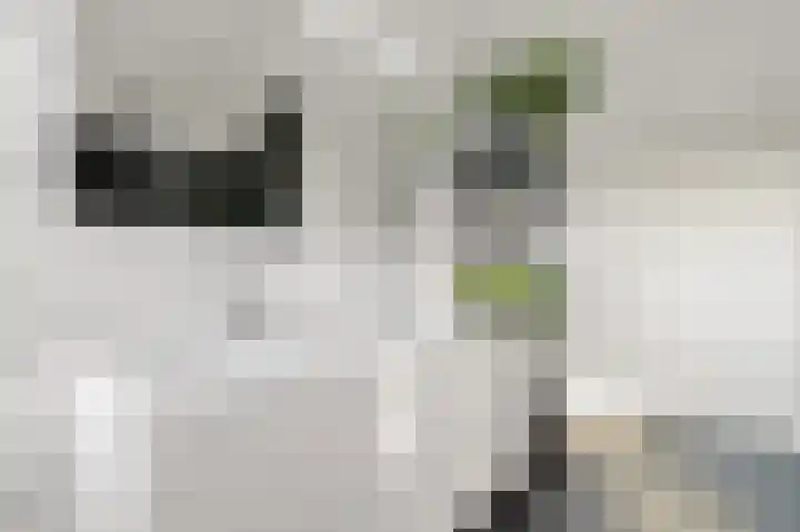 Koers 4 Nootdorp thumbnail 22