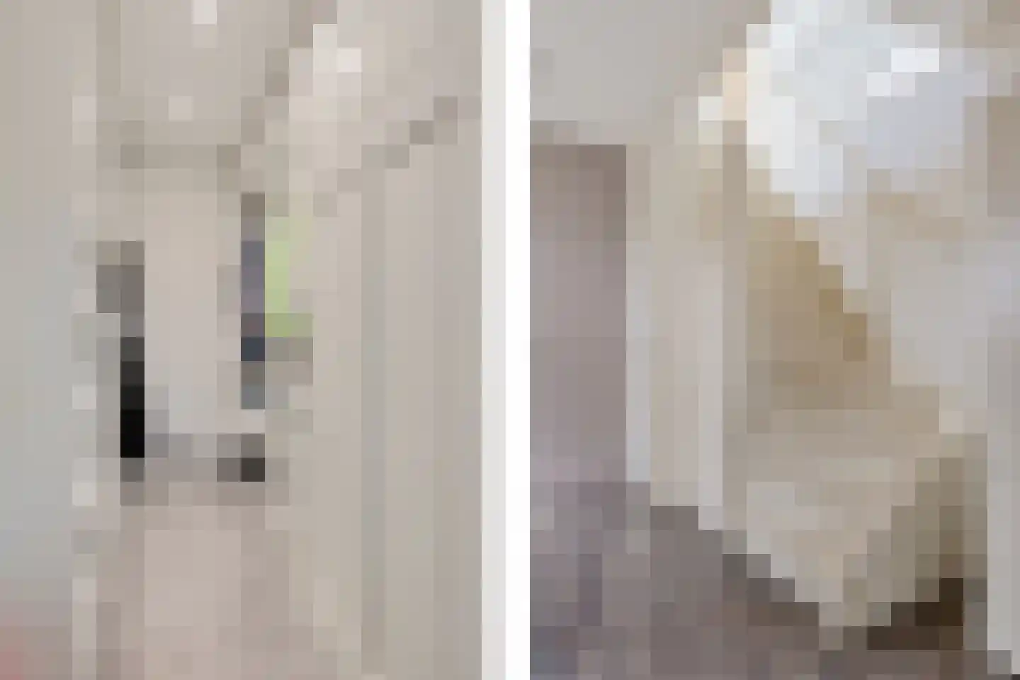 Koesteeg 15 Borger thumbnail 14