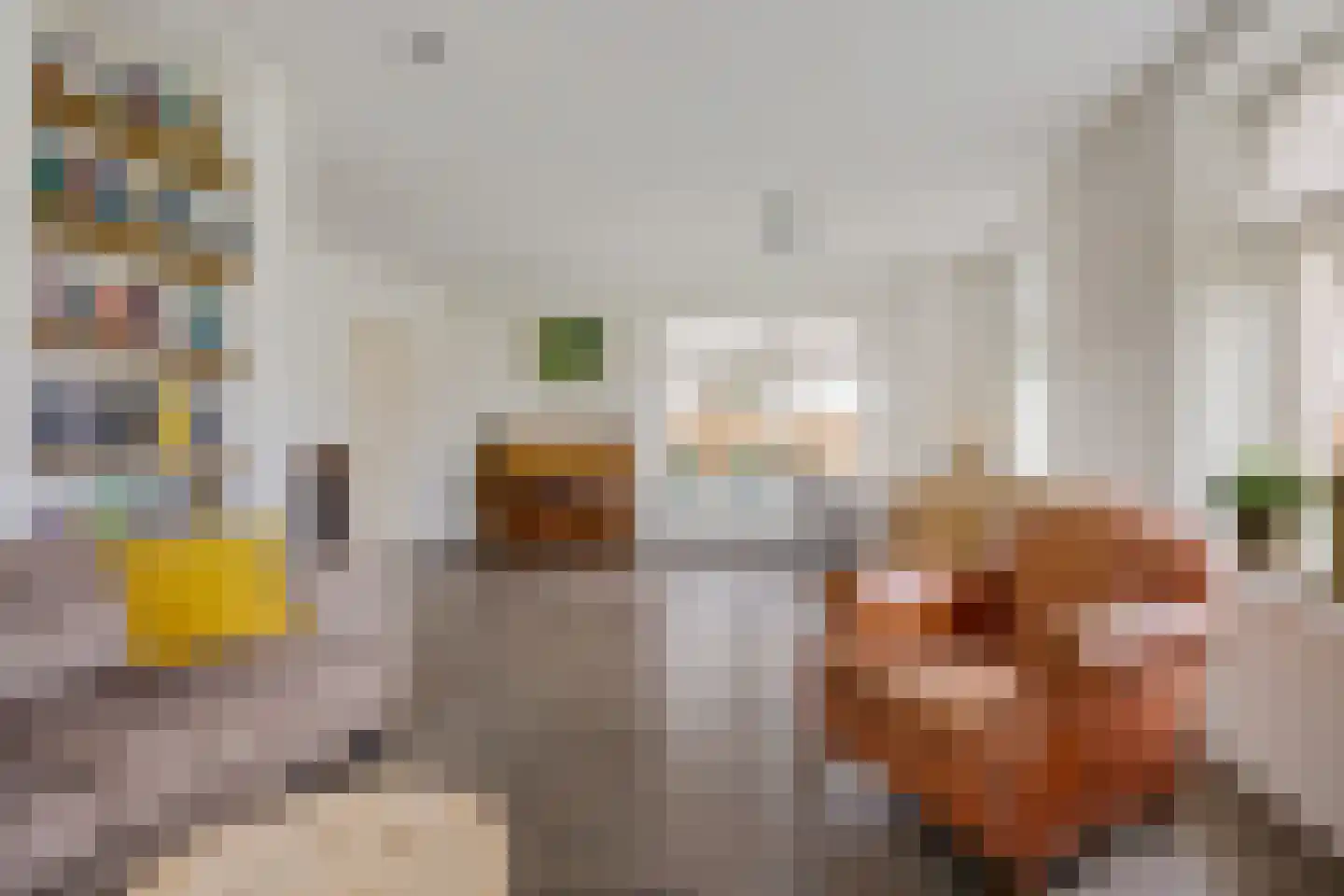 Koesteeg 15 Borger thumbnail 17