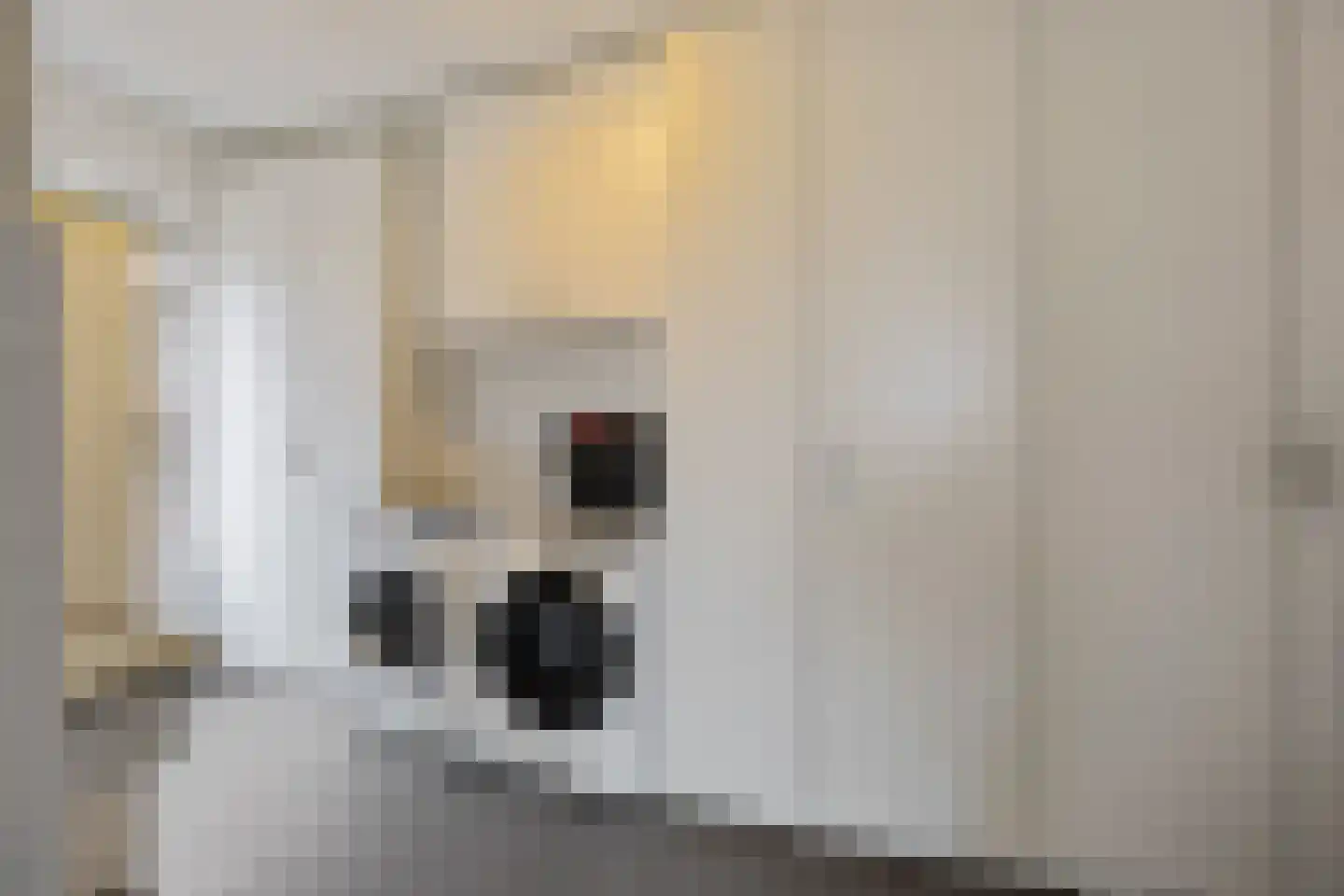 Koesteeg 15 Borger thumbnail 20