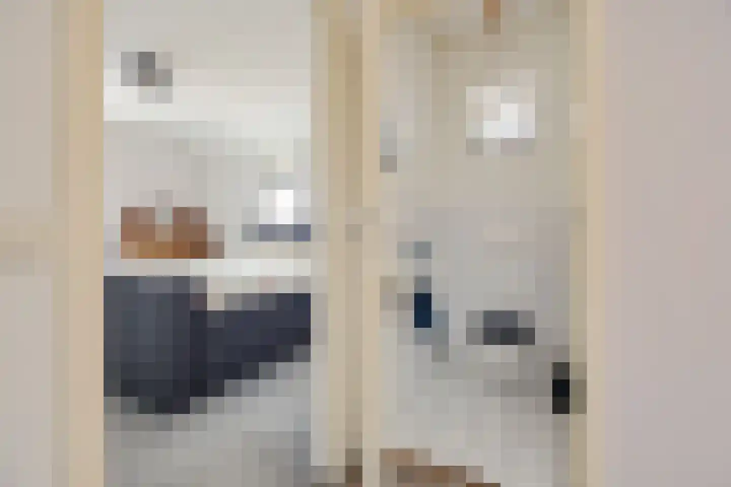 Koesteeg 15 Borger thumbnail 26