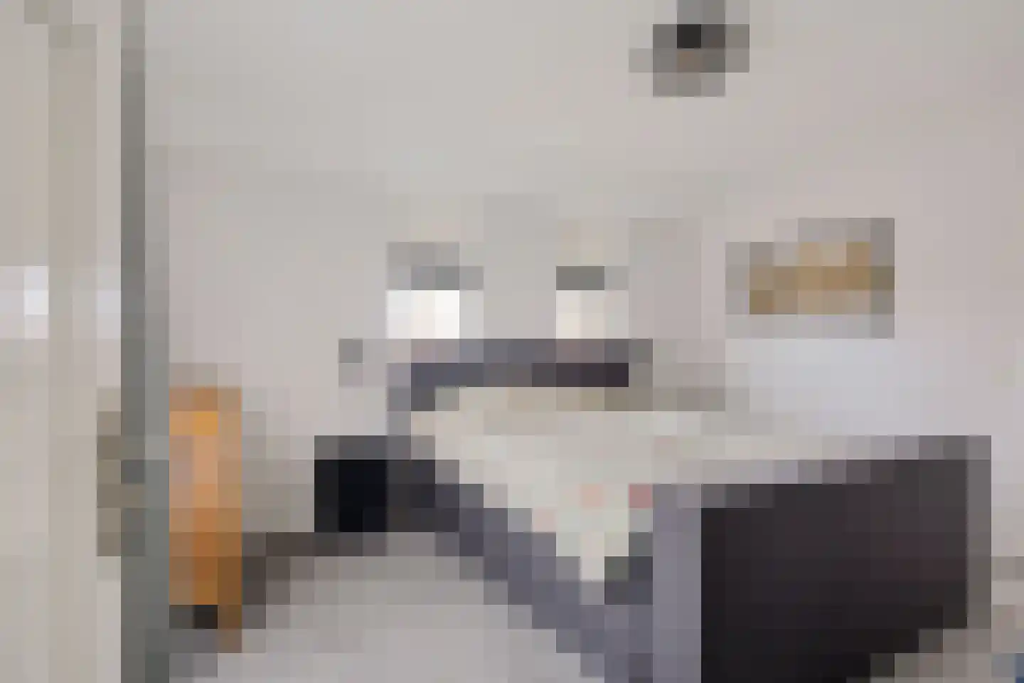 Koesteeg 15 Borger thumbnail 31