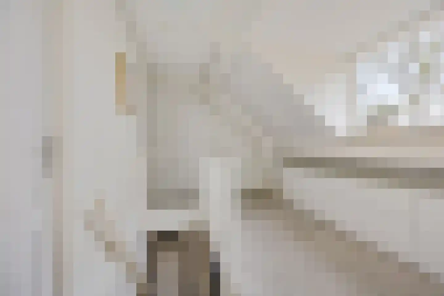Koesteeg 15 Borger thumbnail 32