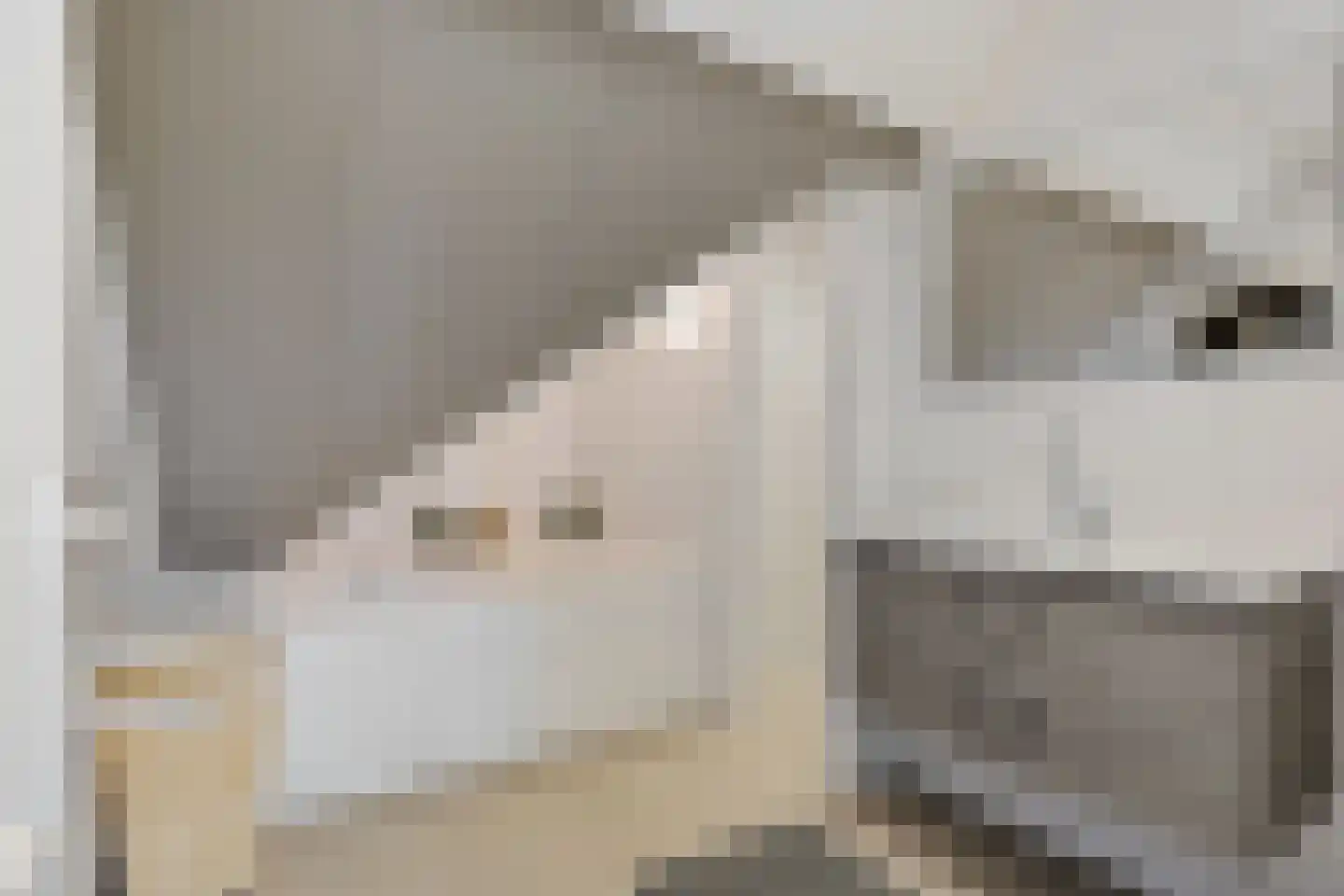 Koesteeg 15 Borger thumbnail 36