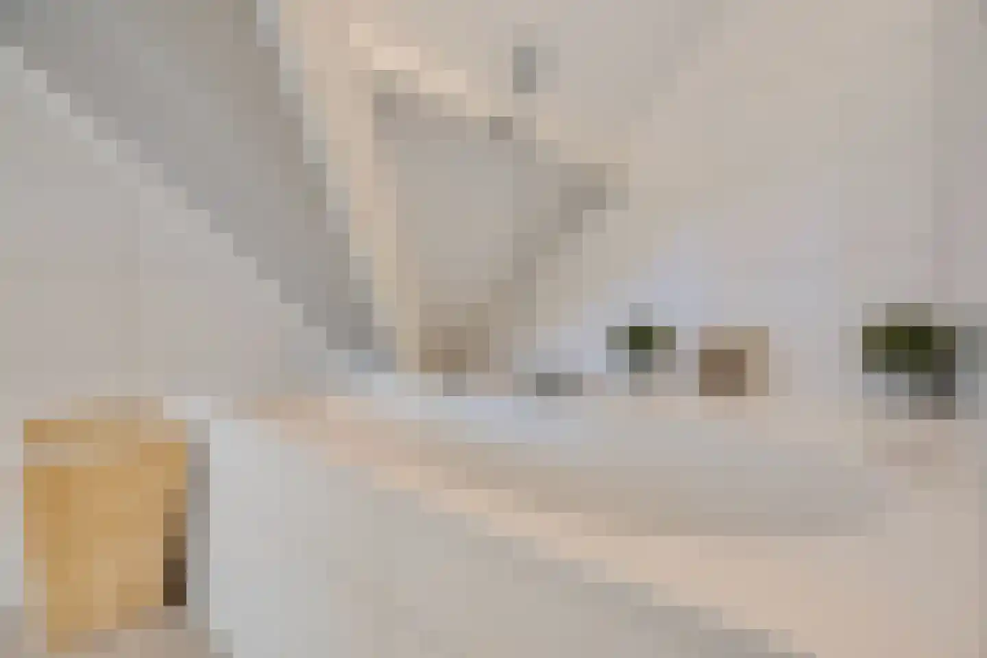 Koesteeg 15 Borger thumbnail 38
