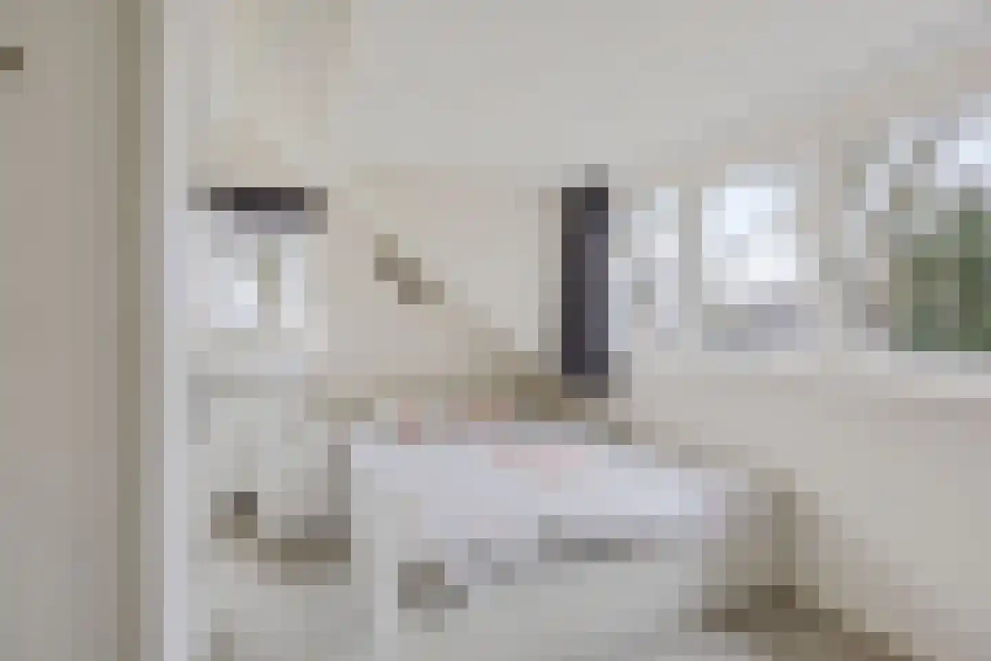 Koesteeg 15 Borger thumbnail 40