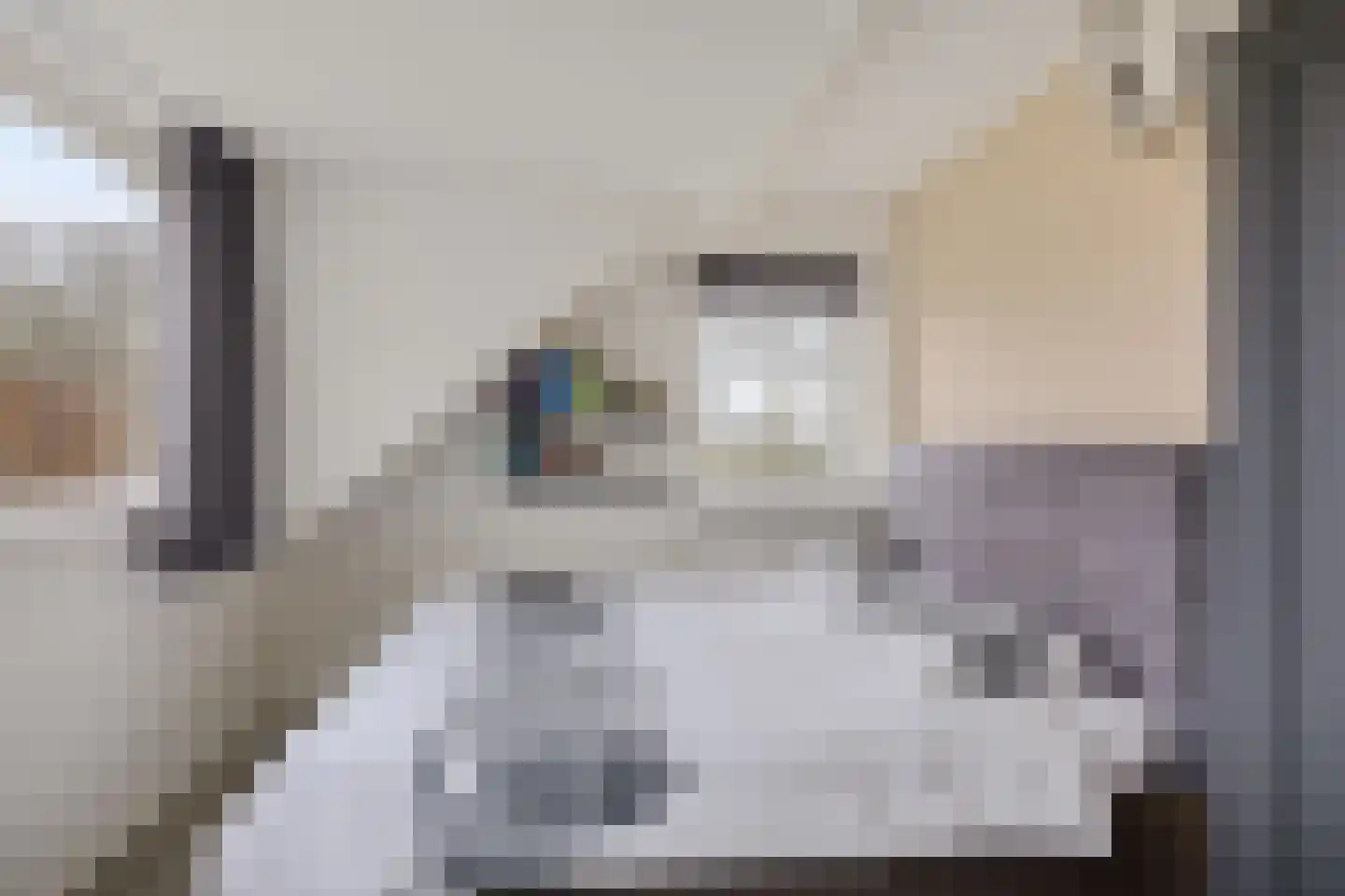 Koesteeg 15 Borger thumbnail 43