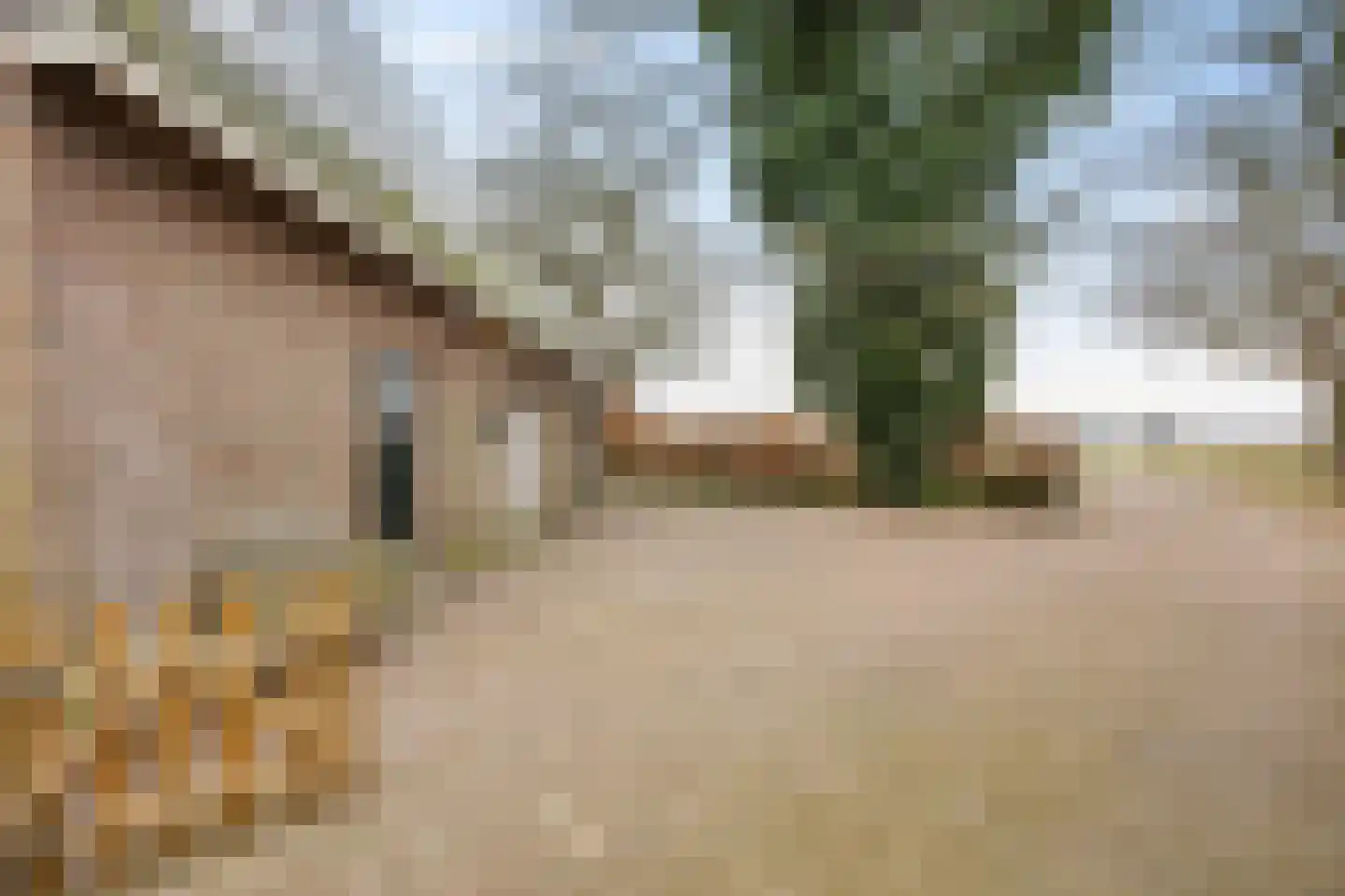 Koesteeg 15 Borger thumbnail 45