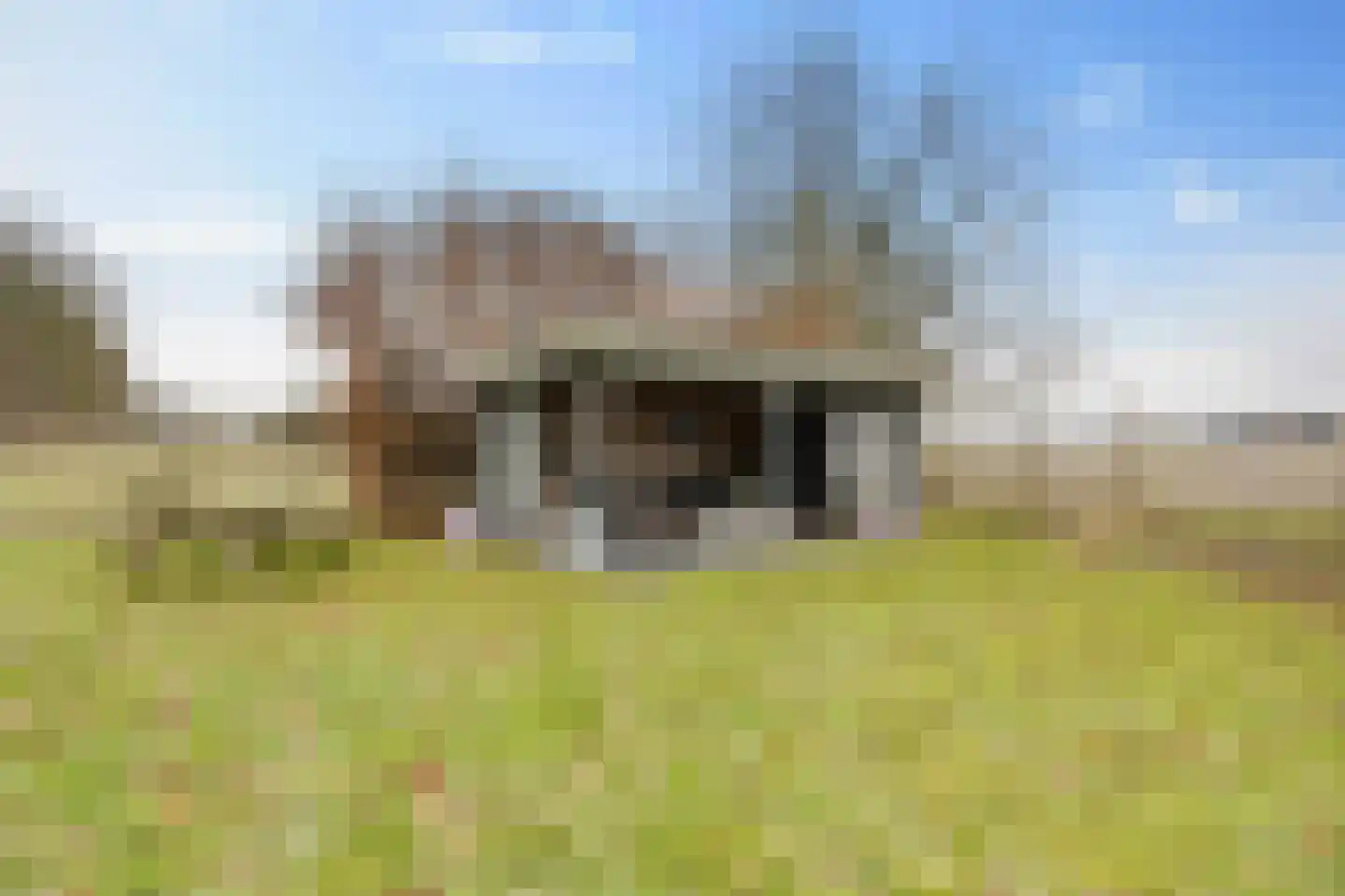 Koesteeg 15 Borger thumbnail 46