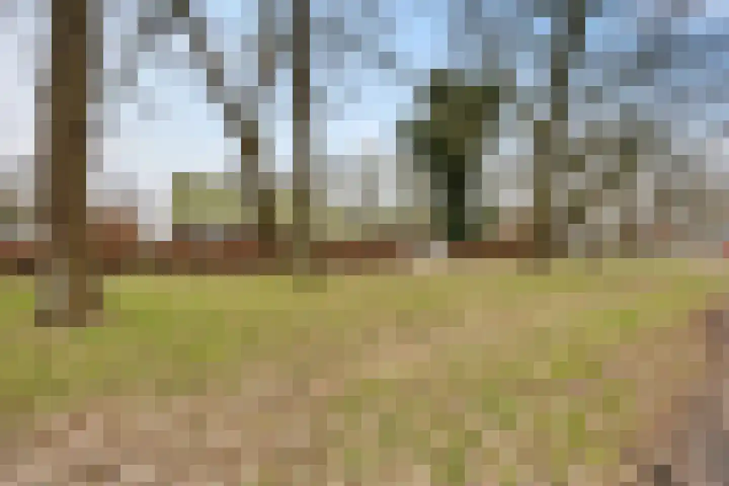 Koesteeg 15 Borger thumbnail 48