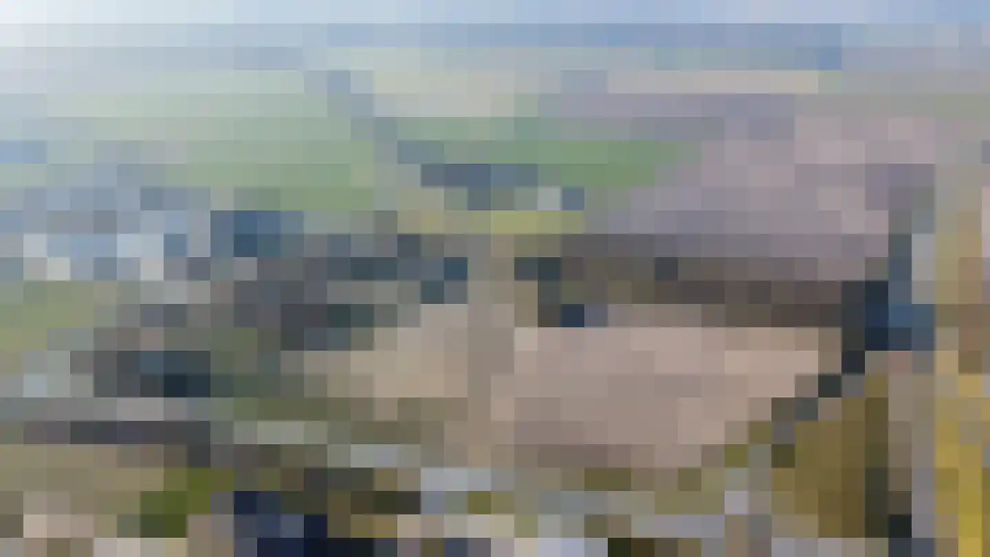 Koesteeg 15 Borger thumbnail 51