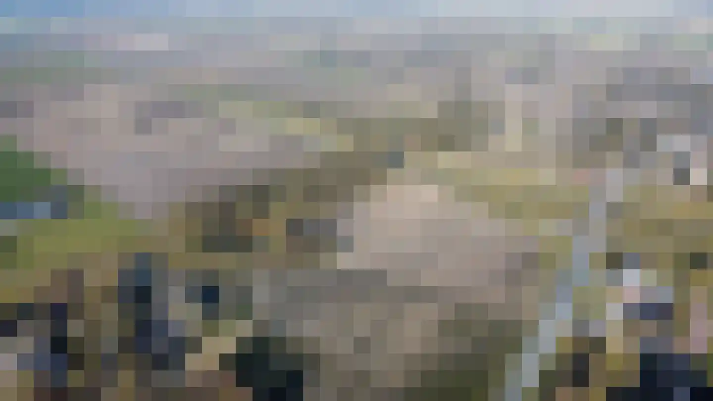 Koesteeg 15 Borger thumbnail 52