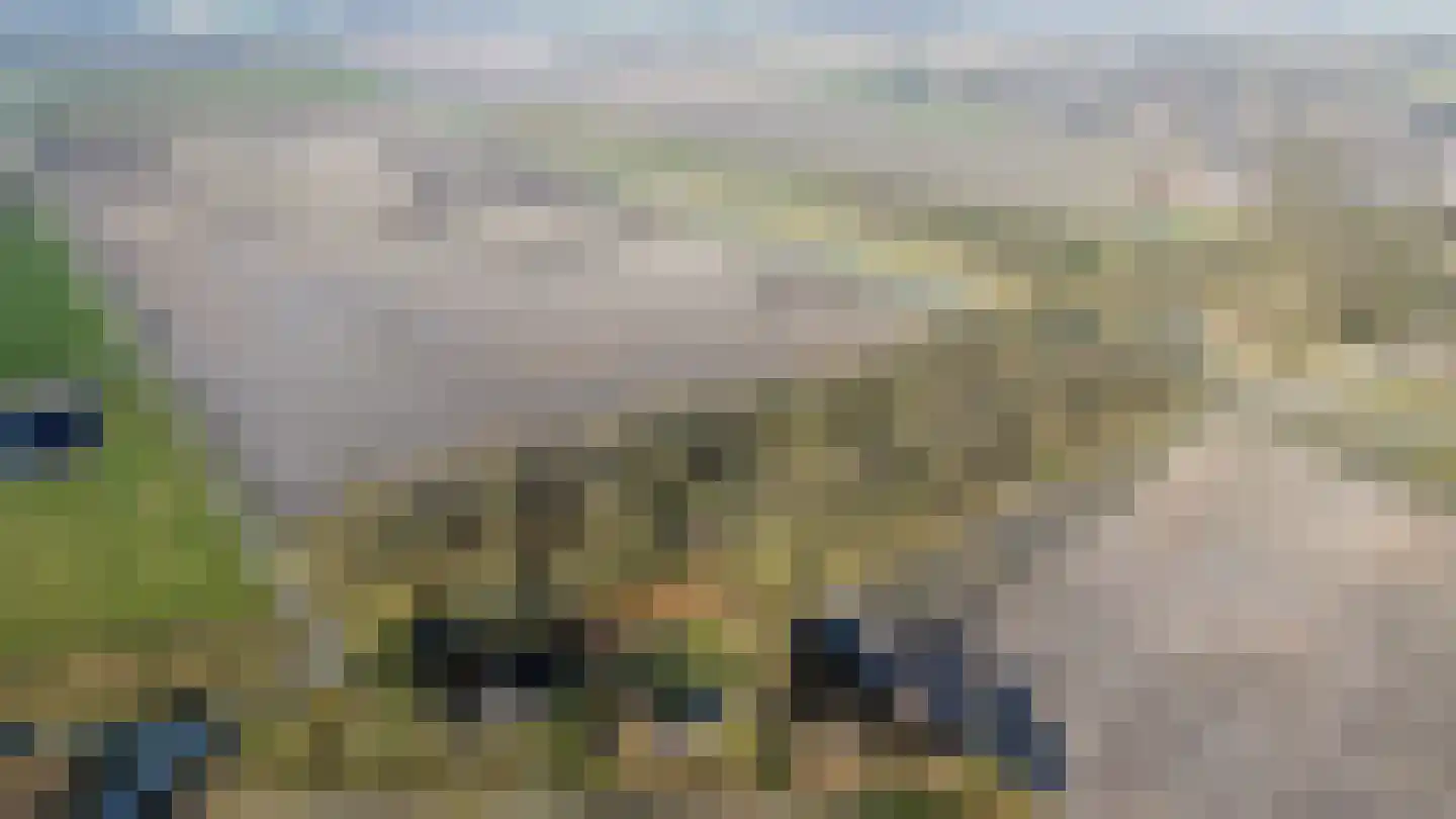 Koesteeg 15 Borger thumbnail 53