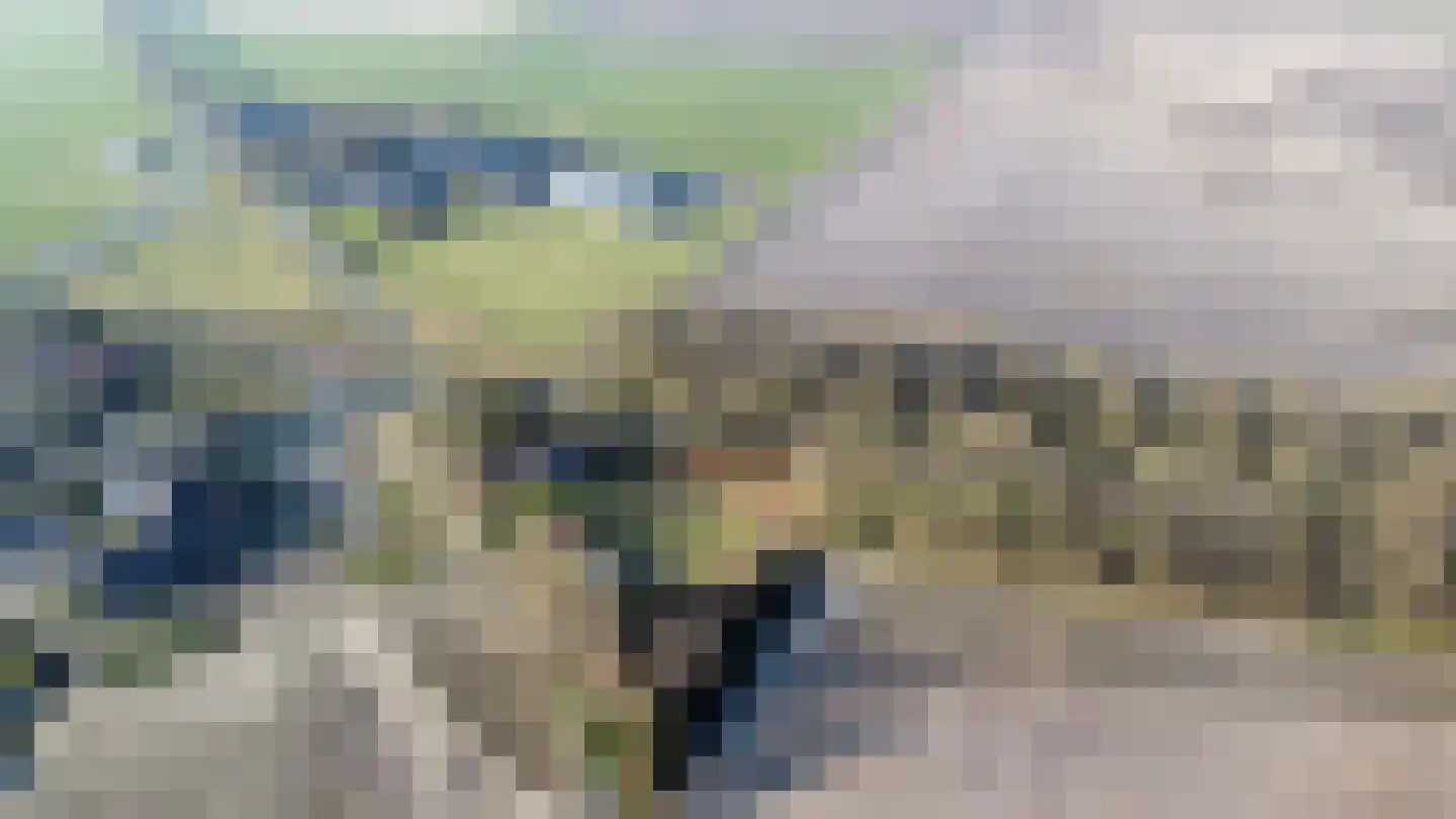 Koesteeg 15 Borger thumbnail 54