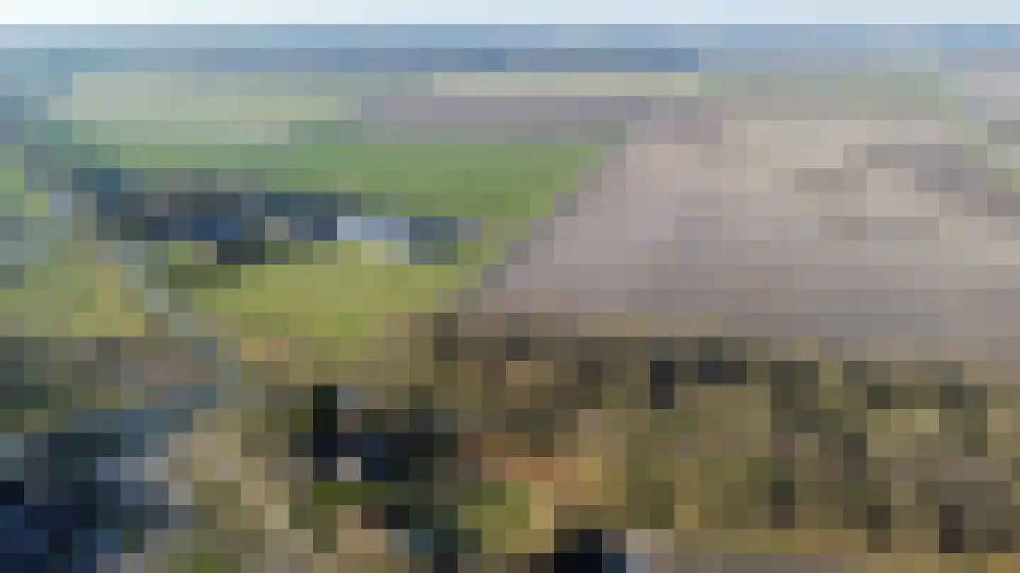 Koesteeg 15 Borger thumbnail 56