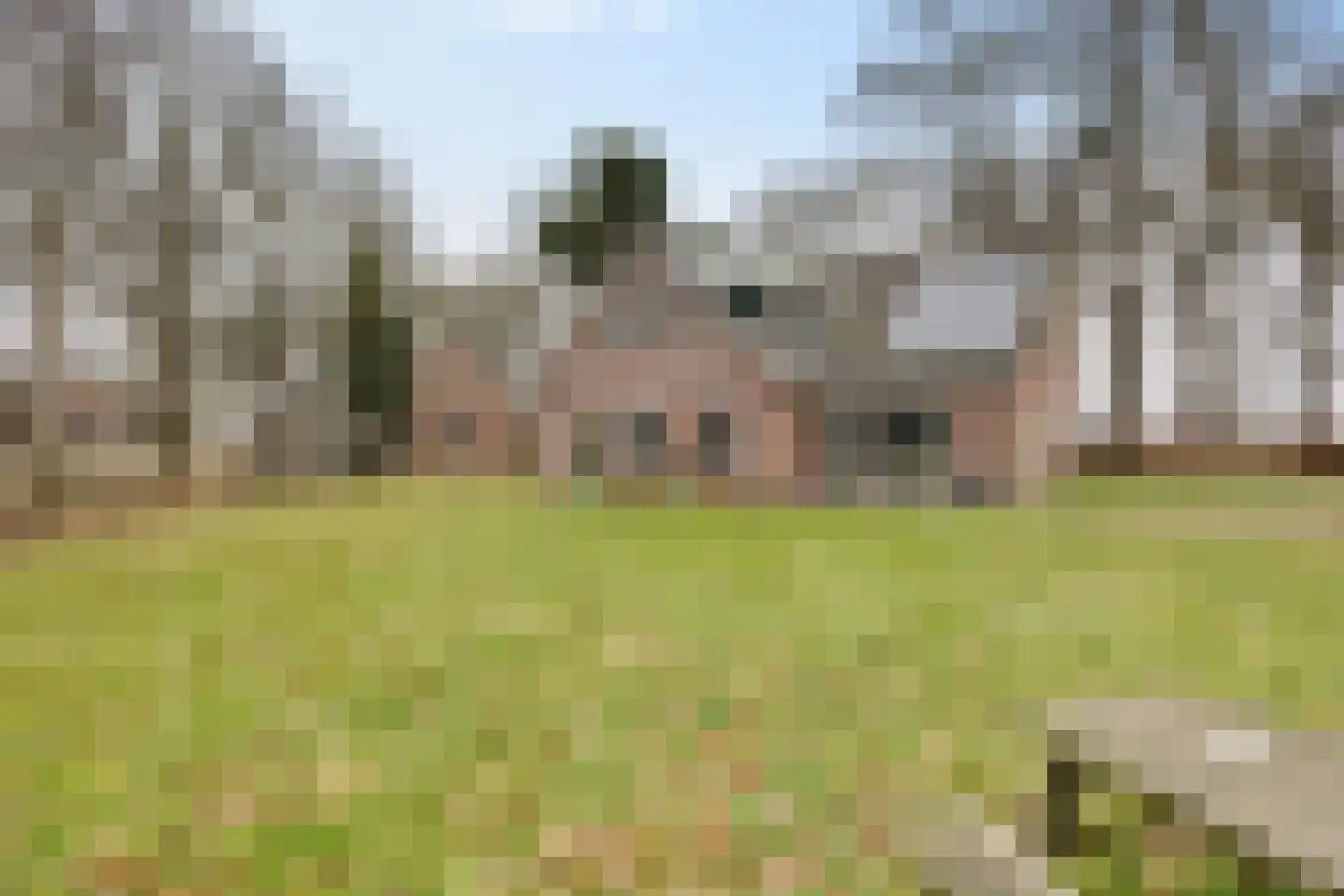 Koesteeg 15 Borger thumbnail 6
