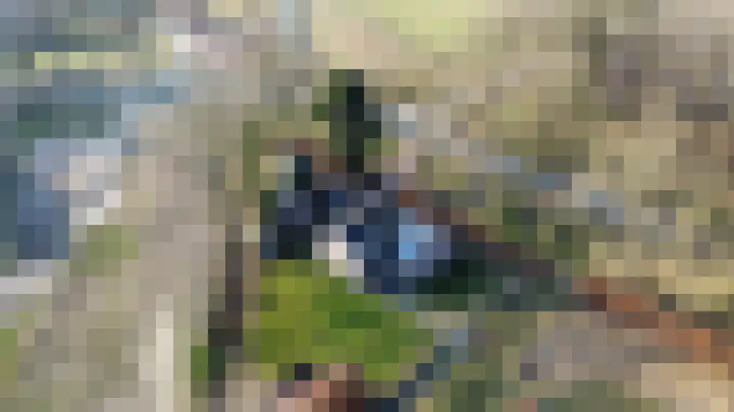 Koesteeg 15 Borger thumbnail 8