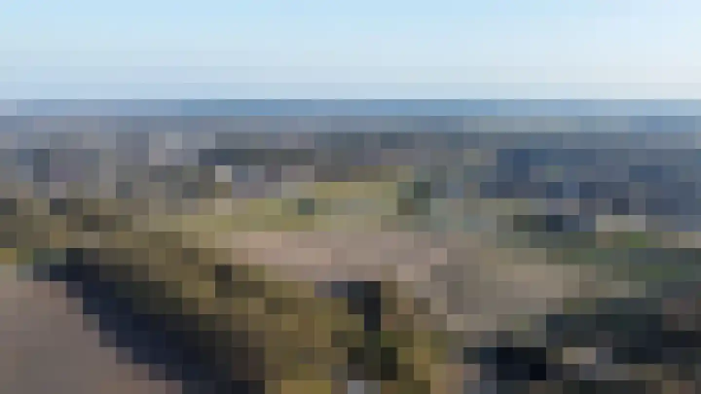 Koesteeg 15 Borger thumbnail 9