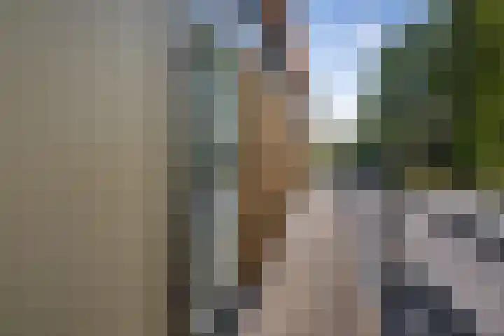 Koesteeg 2 a Ommen thumbnail 11