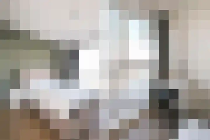 Koesteeg 2 a Ommen thumbnail 12