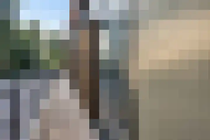 Koesteeg 2 a Ommen thumbnail 12