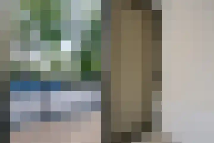 Koesteeg 2 a Ommen thumbnail 14