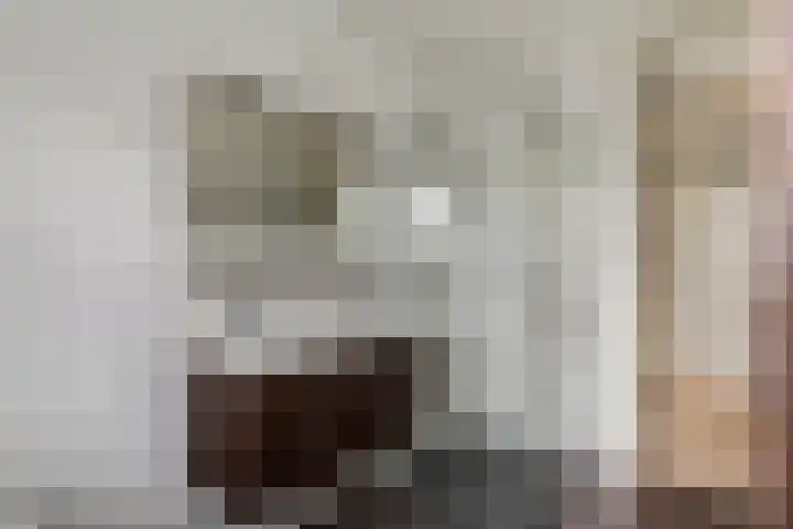 Koesteeg 2 a Ommen thumbnail 16