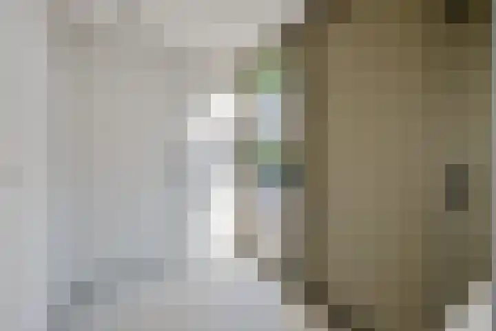 Koesteeg 2 a Ommen thumbnail 16