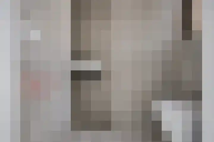 Koesteeg 2 a Ommen thumbnail 17