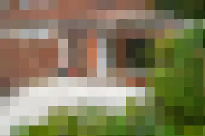 Koesteeg 2 a Ommen thumbnail 19