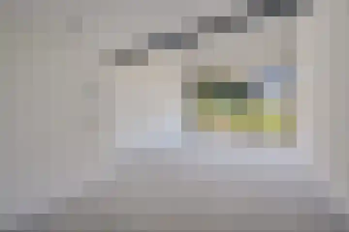 Koesteeg 2 a Ommen thumbnail 19