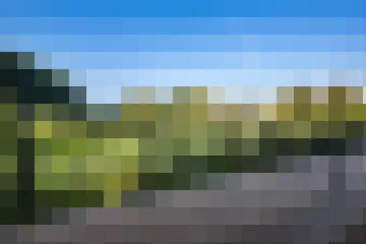 Koesteeg 2 a Ommen thumbnail 20
