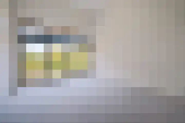 Koesteeg 2 a Ommen thumbnail 21