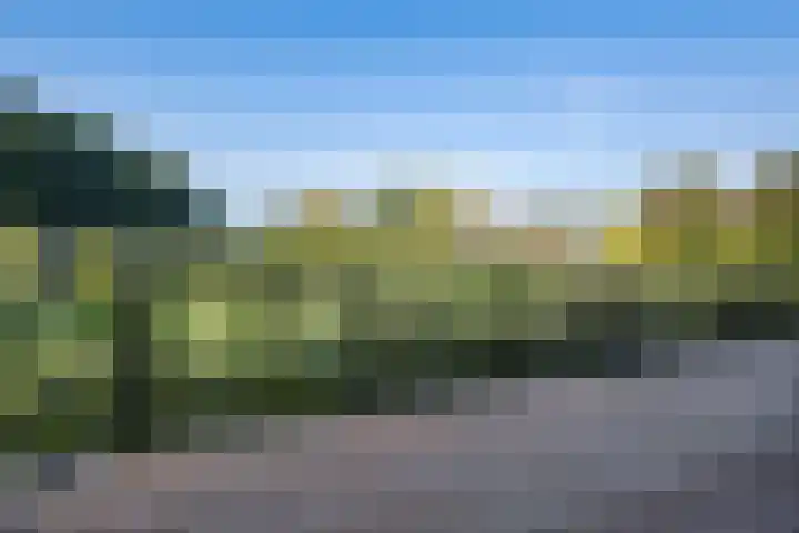 Koesteeg 2 a Ommen thumbnail 24
