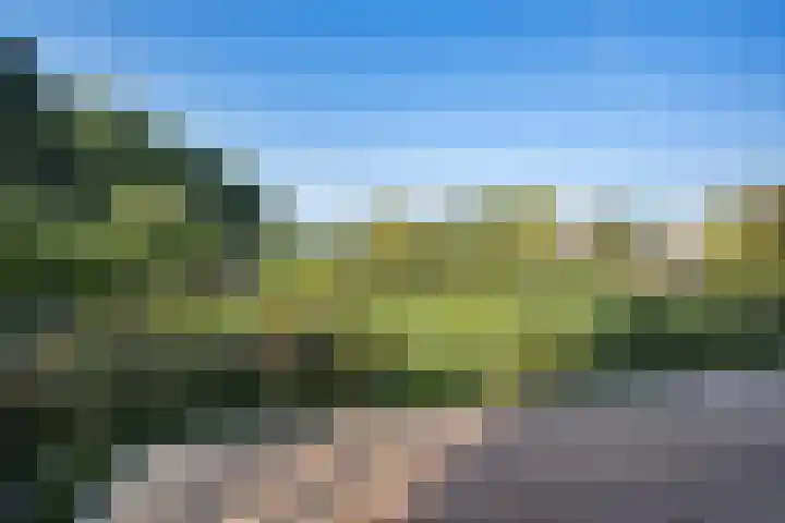 Koesteeg 2 a Ommen thumbnail 26