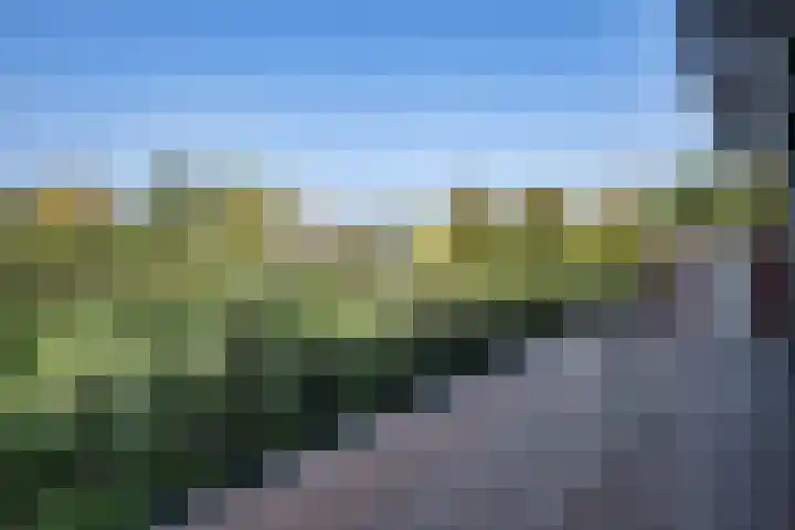 Koesteeg 2 a Ommen thumbnail 28