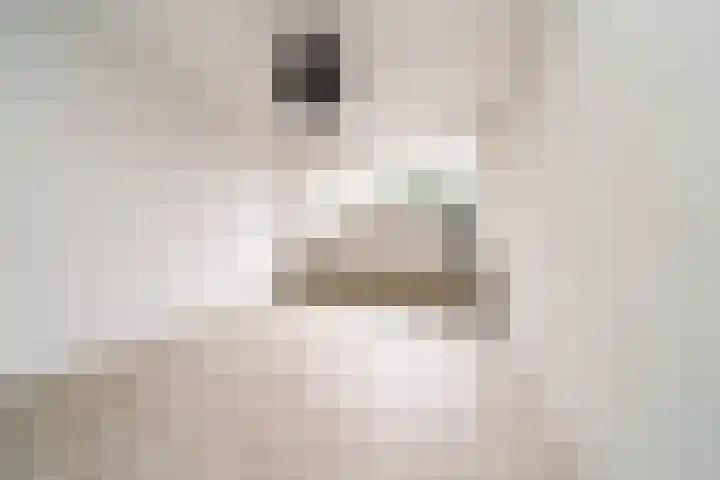 Koesteeg 2 a Ommen thumbnail 33