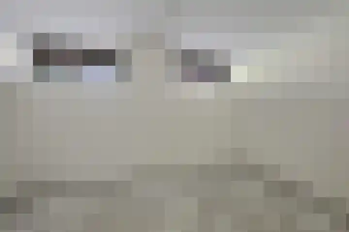 Koesteeg 2 a Ommen thumbnail 39