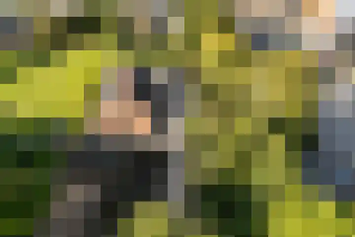 Koesteeg 2 a Ommen thumbnail 4