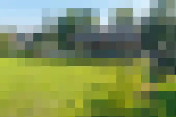 Koesteeg 2 a Ommen thumbnail 46