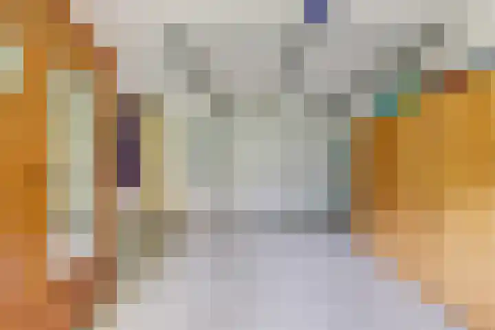Koesteeg 2 a Ommen thumbnail 5