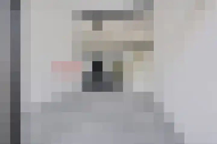 Koesteeg 2 a Ommen thumbnail 55