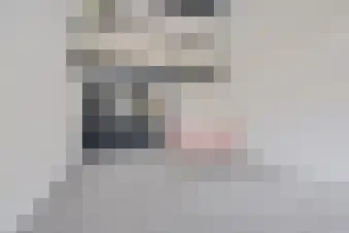 Koesteeg 2 a Ommen thumbnail 56