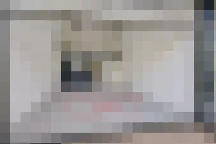 Koesteeg 2 a Ommen thumbnail 61
